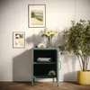 A green metal cabinet with two shelves, decorated with flowers and books, placed in a room with artwork on the wall and a potted plant. Anteprima dell’immagine prodotto