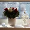 Shelly H&T WiFi-sensor Vochtigheid/Temperatuur Productafbeelding-voorbeeld 6
