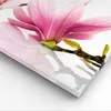 Bild auf Leinwand - Leinwandbild - Magnolie blume natur Produktbild-Vorschau 5