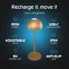 Ledvion 2x Wiederaufladbare LED Tischleuchte Messing Gold Produktbild-Vorschau 5