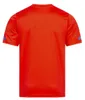 JELEX Herren Serbien Trikot Retro History red L Produktbild-Vorschau 2