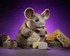 Folkmanis Handpuppe graue Maus 28 cm Produktbild-Vorschau 4