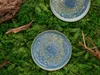 Two plates are placed on a bed of green moss, with pieces of bark and twigs scattered around. Náhľad obrázku produktu
