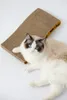 A ragdoll cat lying on a scratching pad. Produktbild-Vorschau