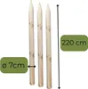 TIMBERMIK Baumstütze Komplettset Rankhilfe Baumpfahl ø 7cm Produktbild-Vorschau 3