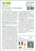 SAFLAX  -- Ravanello - French Breakfast - 150 semi - Anteprima dell’immagine prodotto 3