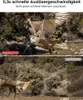 Wildkamera 36MP 4K Wasserdicht Tierkamera mit 32G Produktbild-Vorschau 13
