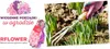 Gartenhandschuhe / Bunt / Größe: 8 - M / RFLOWER_M Produktbild-Vorschau 2