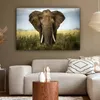 MuchoWow® - Leinwandbilder - Elefant - Natur - Gras - Tiere Produktbild-Vorschau 5
