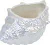 Bol en céramique coquille, perle blanche, 8x19 cm Voir les images du produit 2