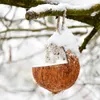 Noce di cocco ripiena Anteprima dell’immagine prodotto 2