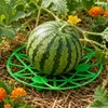 KADAX Kürbisstütze Ø 20 cm im 12er Set, Melonenstütze aus Produktbild-Vorschau 5