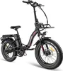 Fafrees F20 MAX Fatbike Ebike Klapprad 20 Zoll mit 48V 18AH Produktbild-Vorschau 4