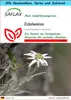 SAFLAX Geschenk Set - Edelweiss - Leontopodium alpinum - Produktbild-Vorschau 1