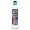 BioGroom Shampoo Anti-Shedding per cani, 355 ml Anteprima dell’immagine prodotto 5