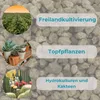 Edelbims 20 L 8/16 mm 100% Natürlicher Bimsstein Bims Produktbild-Vorschau 4