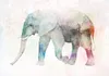 Vlies Fototapete - Painted Elephant 100x70 cm Tiere Produktbild-Vorschau 5