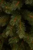 Triumph Tree Arbre de Noël artificiel Bristlecone Fir - Voir les images du produit 3