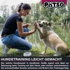 PÄTSO Hunde Snack Trainingssnack, 500g - Huhn + Wild - Soft Produktbild-Vorschau 5