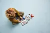 HP Fawkes: la fenice di Silente Anteprima dell’immagine prodotto 15