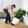 LECHUZA-Vase à plantes CLASSICO Premium LS 50 Rouge Scarlet Voir les images du produit 6