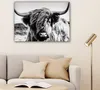 OneMillionCanvasses® - Obrazy na plátně - Kráva - Skotský Náhled obrázku produktu 6