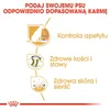 Royal Canin Labrador Retriever Sterilised, Dorosły, Podgląd zdjęcia produktu 3
