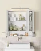 A bathroom medicine cabinet filled with toiletries and accessories, mounted above a sink. Náhled obrázku produktu