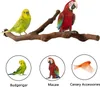 2 Stücke Vögel Ständer Spielzeug, Vogel Papagei Schaukel Produktbild-Vorschau 5