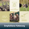PANTO Straußenkorn 5mm 25kg - Für Straußen, Emus und Nandus Produktbild-Vorschau 4