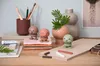 Hoptimist Soft Bimble, Sammelfigur Produktbild-Vorschau 5