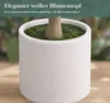 Olivenbaum 180 cm, Künstlicher Olivenbaum mit Früchten und Produktbild-Vorschau 11
