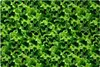 Küchenmatte 80x120 cm Vinylmatte Bodenmatte Dekoration - Produktbild-Vorschau 1