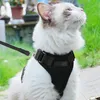 rabbitgoo Katzengeschirr, kleine Hundeleine, verstellbar, Produktbild-Vorschau 2