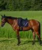 A brown horse stands in a grassy field, wearing a navy blue saddle pad with red and white trim, and a navy blue fly bonnet. Produktbild-Vorschau