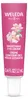 WELEDA Glättende Augencreme mit Wildrose, weißem Tee und Produktbild-Vorschau 3