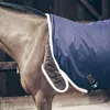 Close-up of a horse wearing a blue rug with brown and white trim. Produktbild-Vorschau