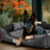 Lit pour chien GreenBlue gris foncé, rectangulaire, Voir les images du produit 9