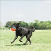 Chuckit! Hundespielzeug Rope Fetch Produktbild-Vorschau 10