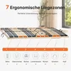LEO 42 NV Lattenrost 140x200 cm 42 Federleisten 7 Zonen 10 Produktbild-Vorschau 2