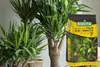 A bag of plant soil is placed next to a potted plant. Voir les images du produit