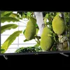 Philips Produktbild-Vorschau 5