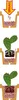 Seramis Cactus & Succulentes Spez-Sub. 2,5l Voir les images du produit 4