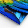 Bild auf Leinwand - Leinwandbild - Feder Papagei Vogel - Produktbild-Vorschau 5