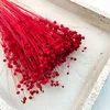 Flachs Getrocknete - (Leinen) - Rot Produktbild-Vorschau 6