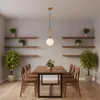 A dining room with a table, chairs, and shelves with plants. Produktbild-Vorschau