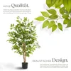 tectake® Künstlicher Ficusbaum Fida verschiedene Größen Produktbild-Vorschau 3