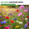 Wildblumenmischung - 100 g Samen für Wildblumenwiese - Produktbild-Vorschau 2
