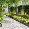 vidaXL Raseneinfassung 10 stk. 100 x 0,05 x 15 cm Kalt Produktbild-Vorschau 1