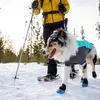 Ruffwear Hundejacke Cloud Chaser™ Soft Shell Jacket Aurora Produktbild-Vorschau 4